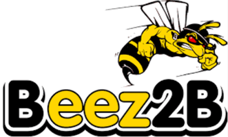 Beez2B, marque de modélisme RC