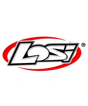 Pneus et jantes Moto 1/5 Losi - Breizh Modélisme.