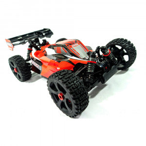 Pièces Corally Radix 6S