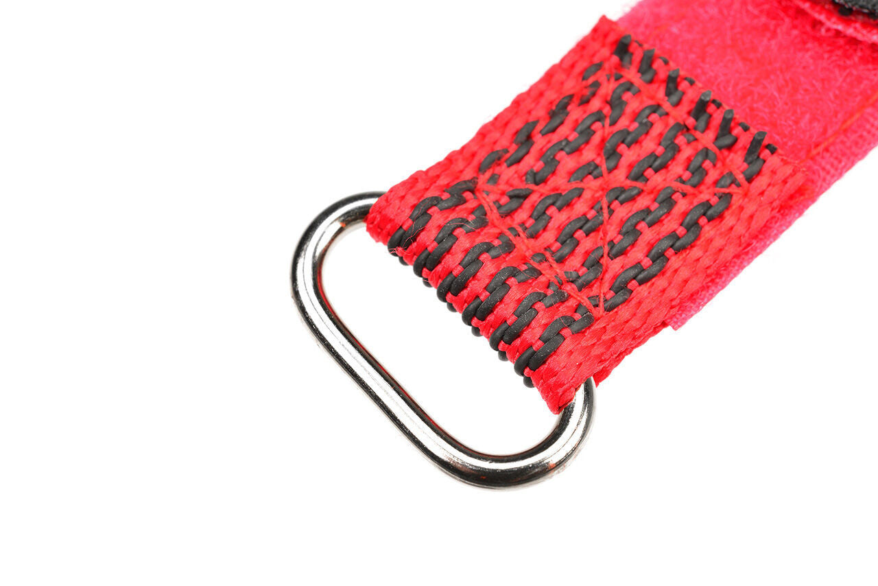 Sangles de batterie Pro 300x20 mm rouge (2 pcs) - C-50536