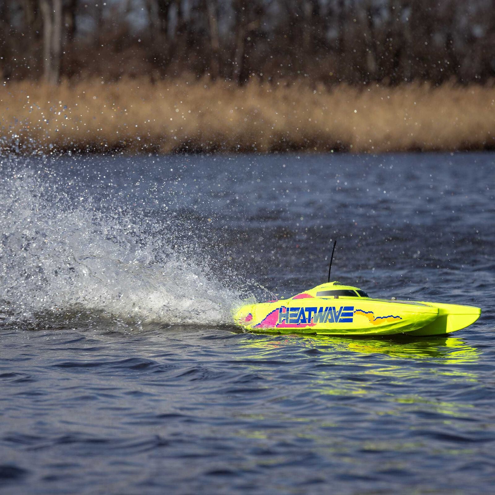 Catamaran Blackjack 24 V2 Brushless RTR - PRB08049T1"