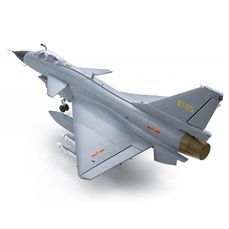 Jet 1/17 EDF J10 PNP gris (avec reflex V3) env 1m - FMS149-GY