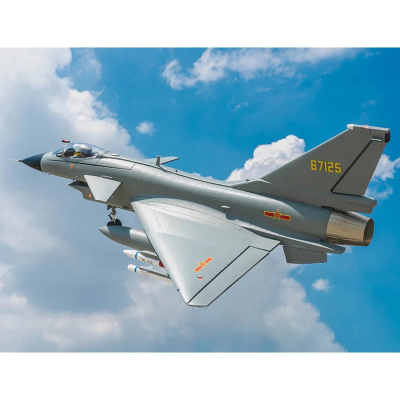 Jet 1/17 EDF J10 PNP gris (avec reflex V3) env 1m - FMS149-GY