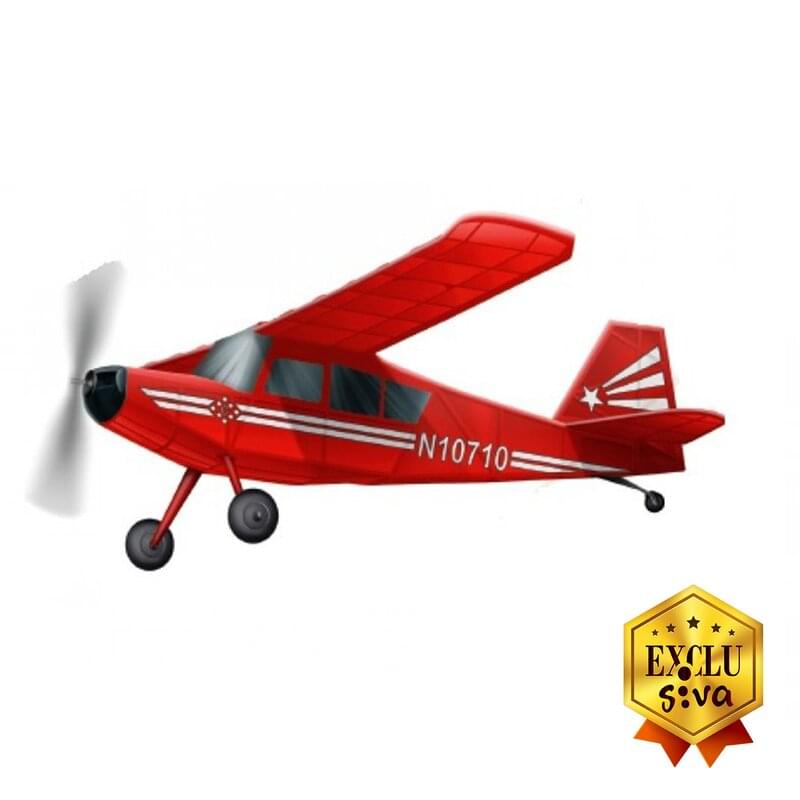Planeur Bellanca Citabria