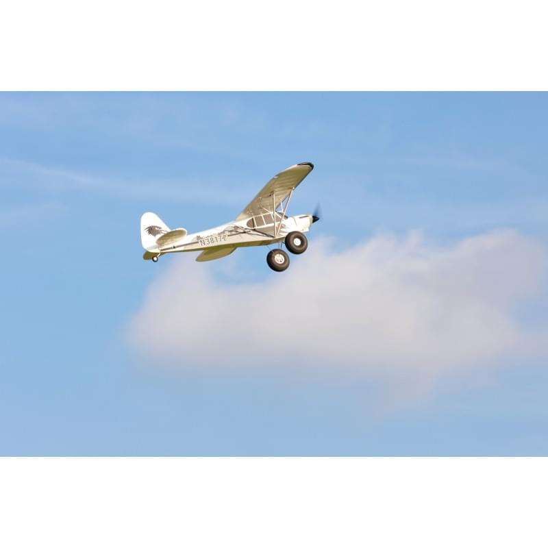Avion FMS 1300MM PA-18 ARTF + Reflex FMS138 - Breizh Modélisme.