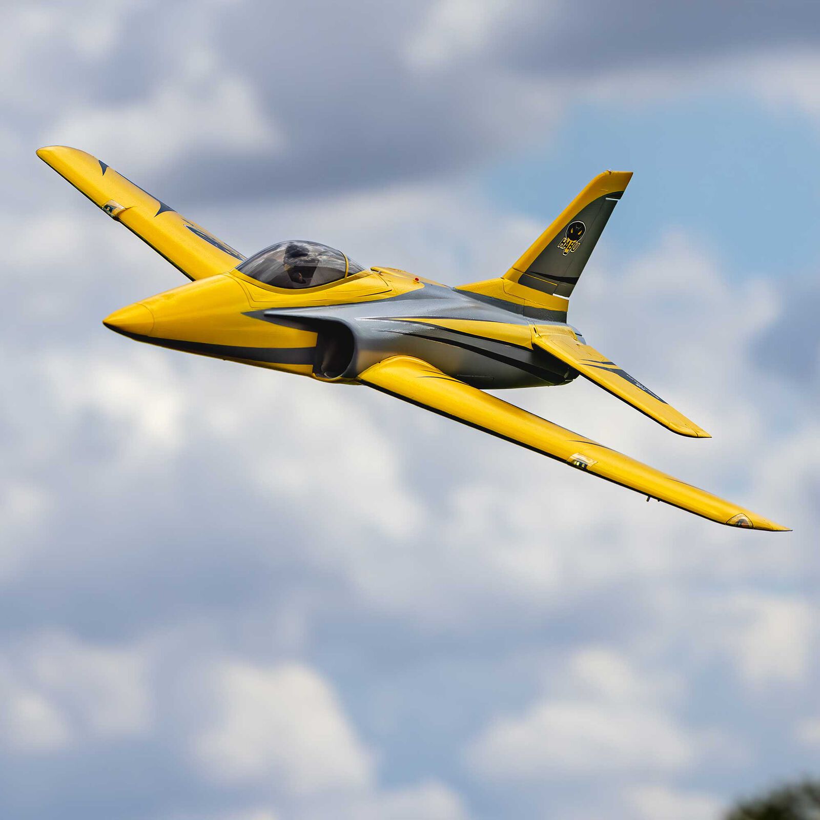 Jet E-Flite Habu XS (eXtra Sport) 80mm EDF BNF Basic with AS3X+ and SAFE - Breizh Modélisme.
