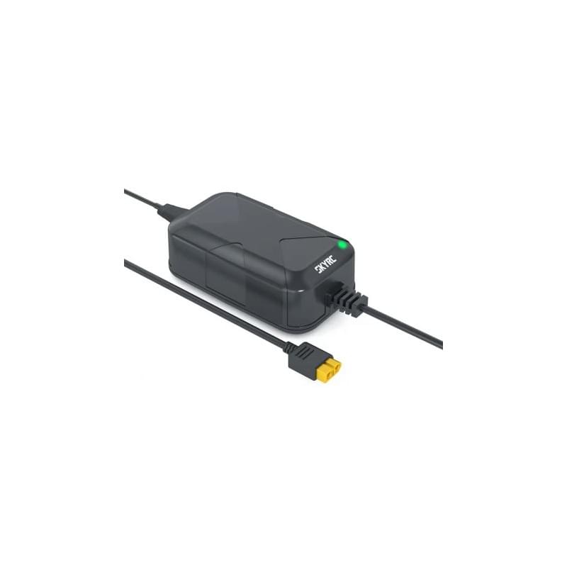 Alimentation SkyRC PSA100 100 W avec sortie XT60 - SK200027-01