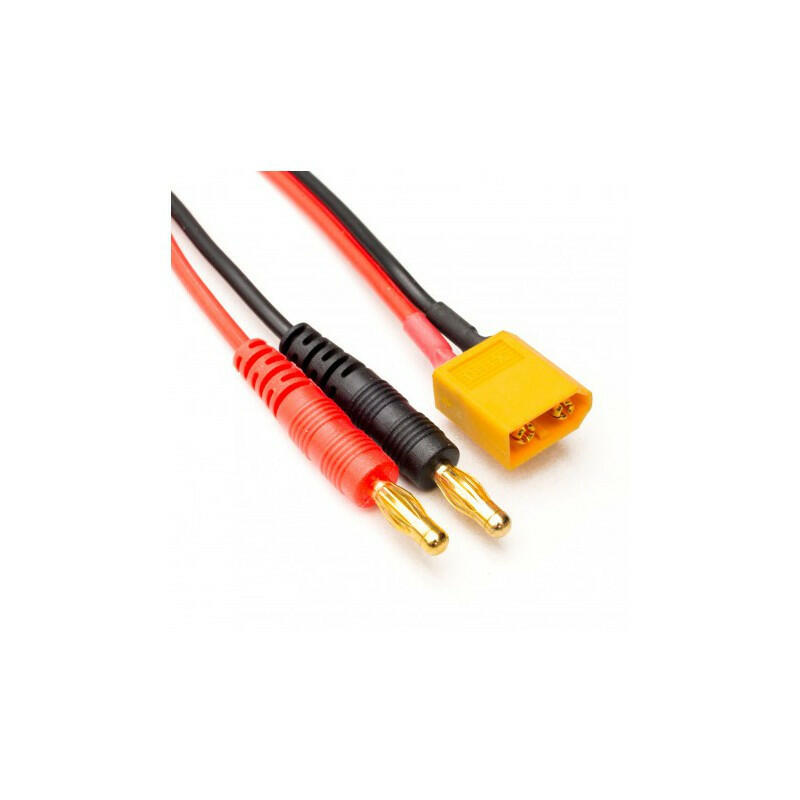 Chargeur Sky RC E450 pour Accu Lipo 2S-4S et Ni-Mh - 100122 - Breizh Modélisme.