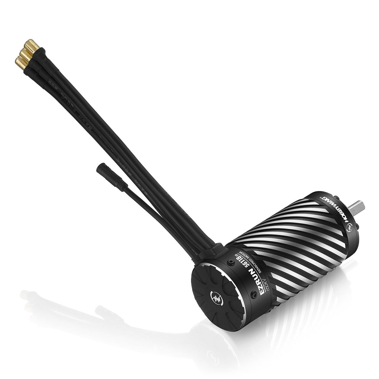 Hobbywing Moteur EZRUN SL 56118SD G2 650kV 4pol, 8mm 1/5 - 30402902 - Breizh Modélisme.