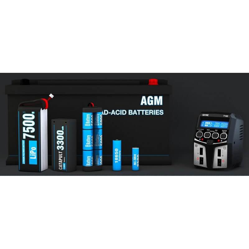 Chargeur Duo SkyRC T100 LiPo 2-4s 5A 2x50W - 100162 - Breizh Modélisme.