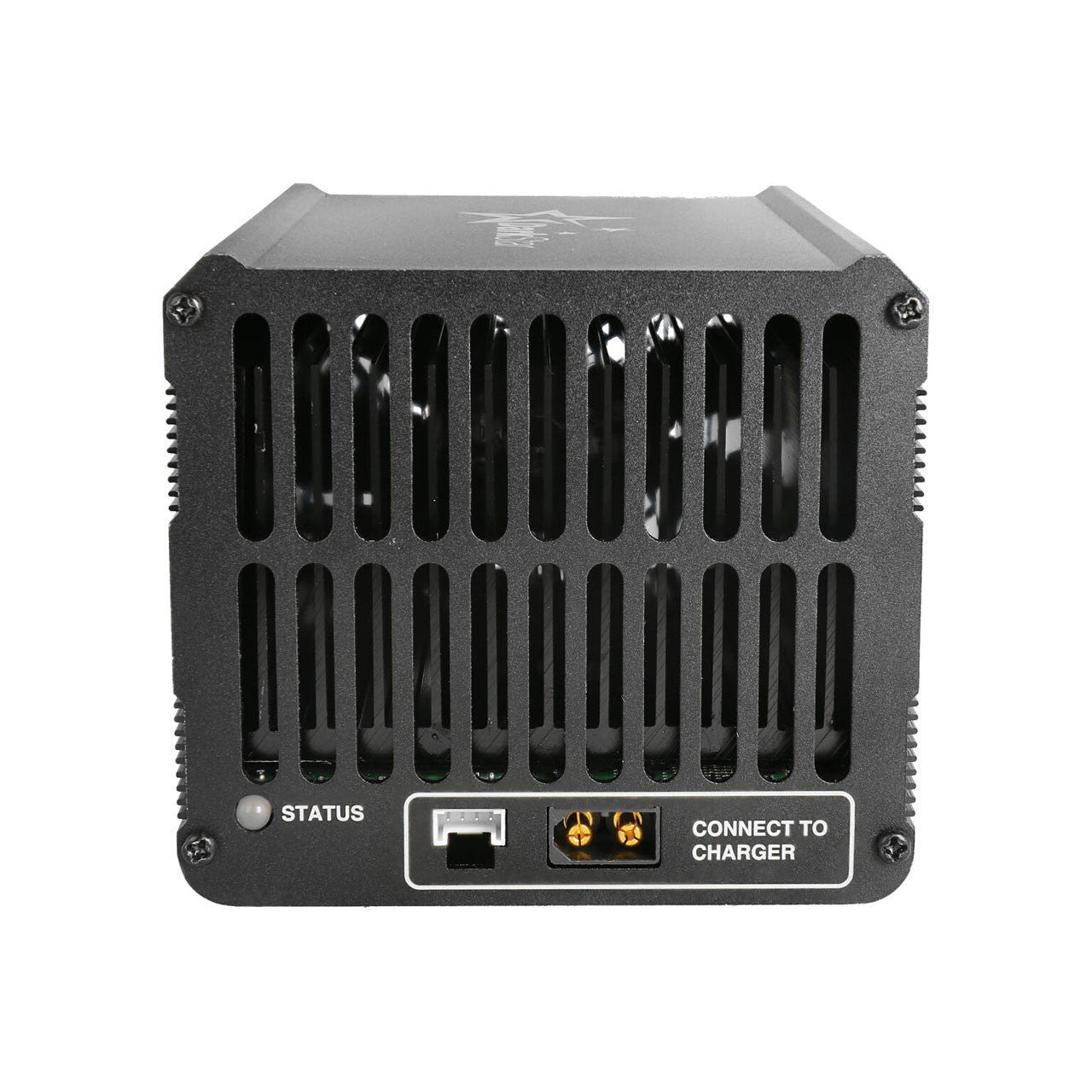 Unité de décharge SkyRC pour T1000 BD350 - 600147-01