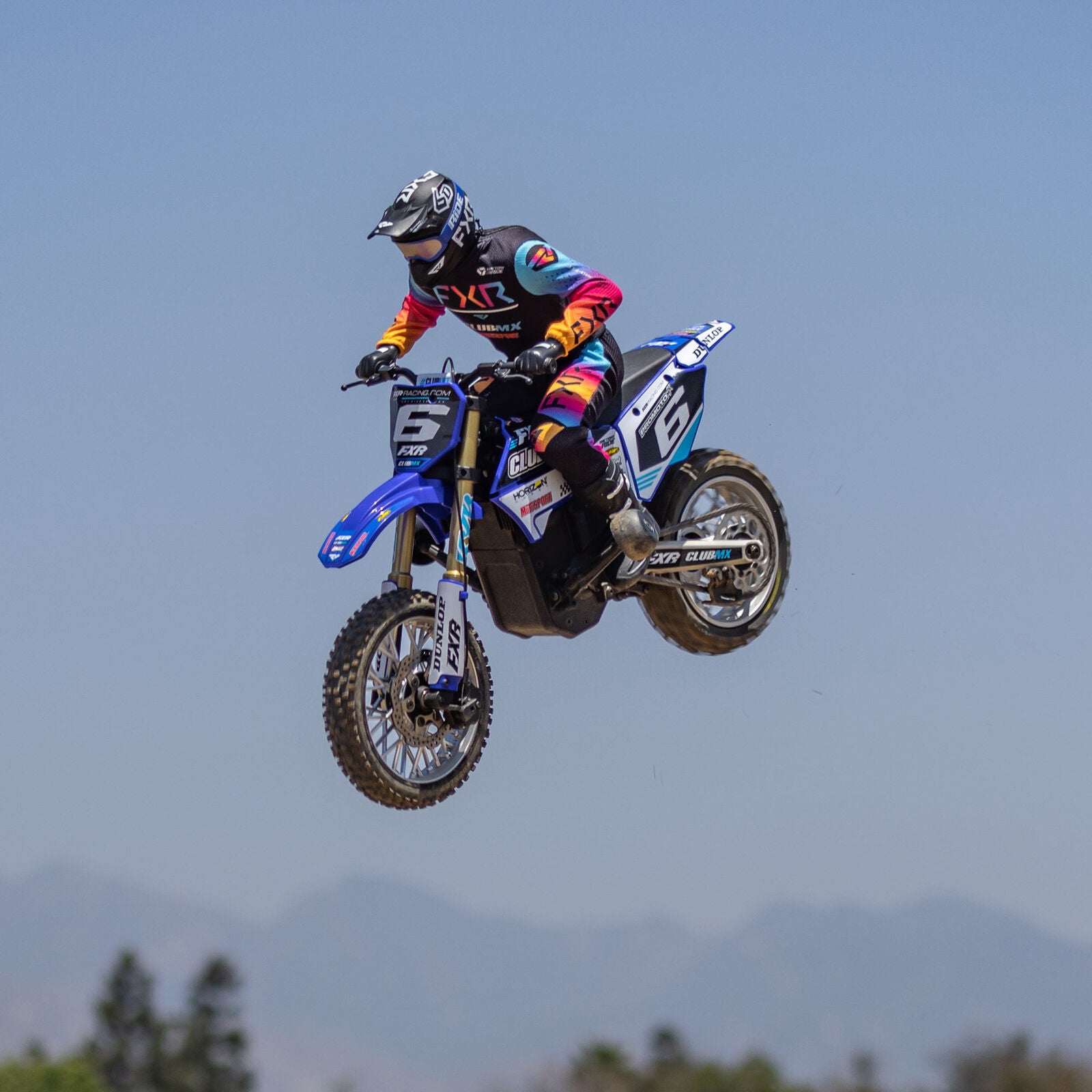 Moto RC Losi 1/4 Promoto-MX Motorrad RTR, Club MX LOS06000T2 bleu