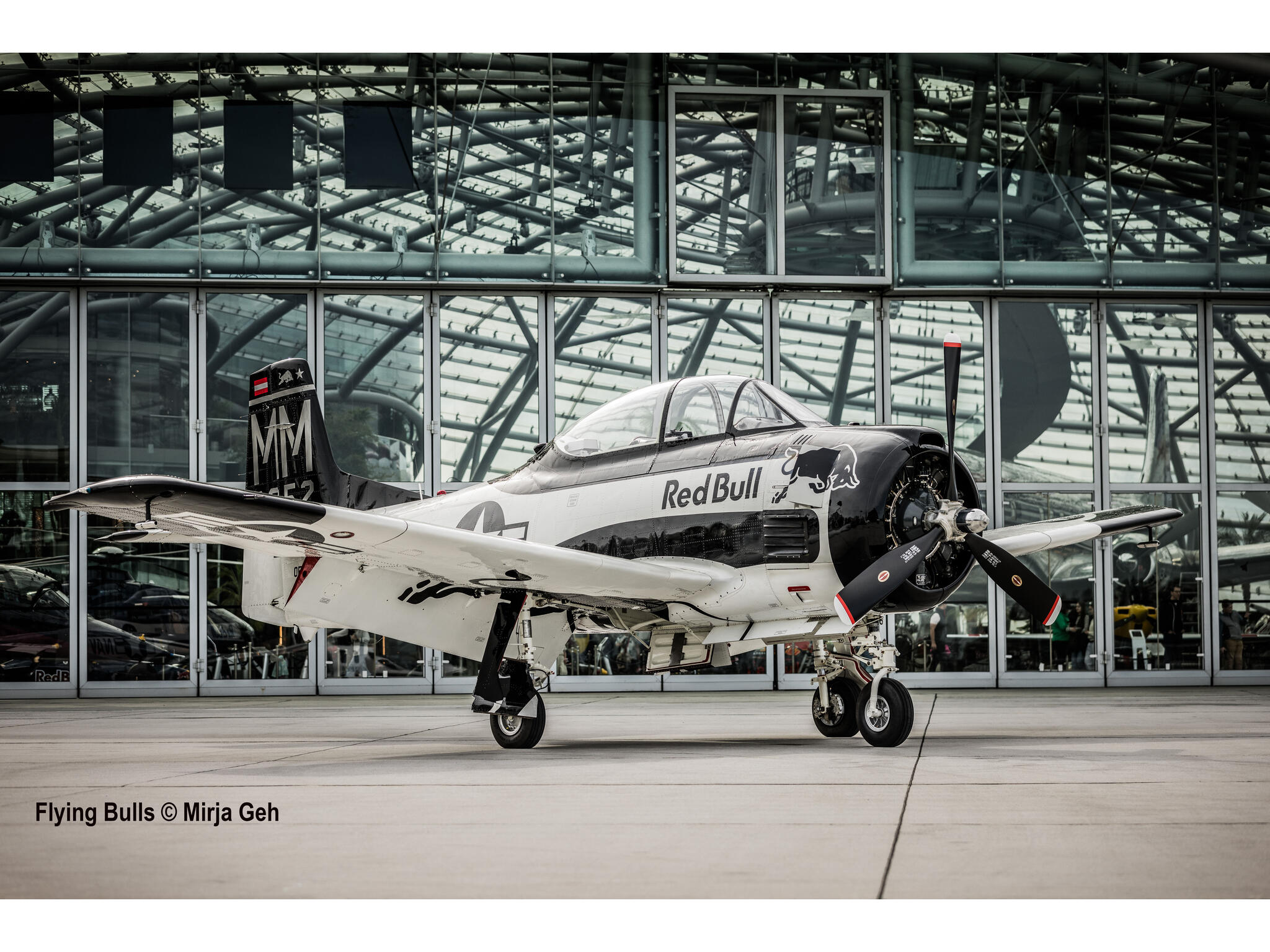 Maquette avion Revell 05635 Flying Bulls T-28 Trojan avec accessoires de base