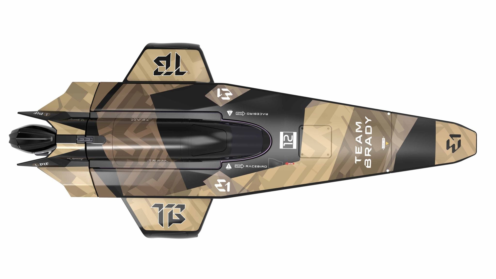 Joysway E1 Racebird 1:14 RTR Hydrofoil 545mm Team Brady
