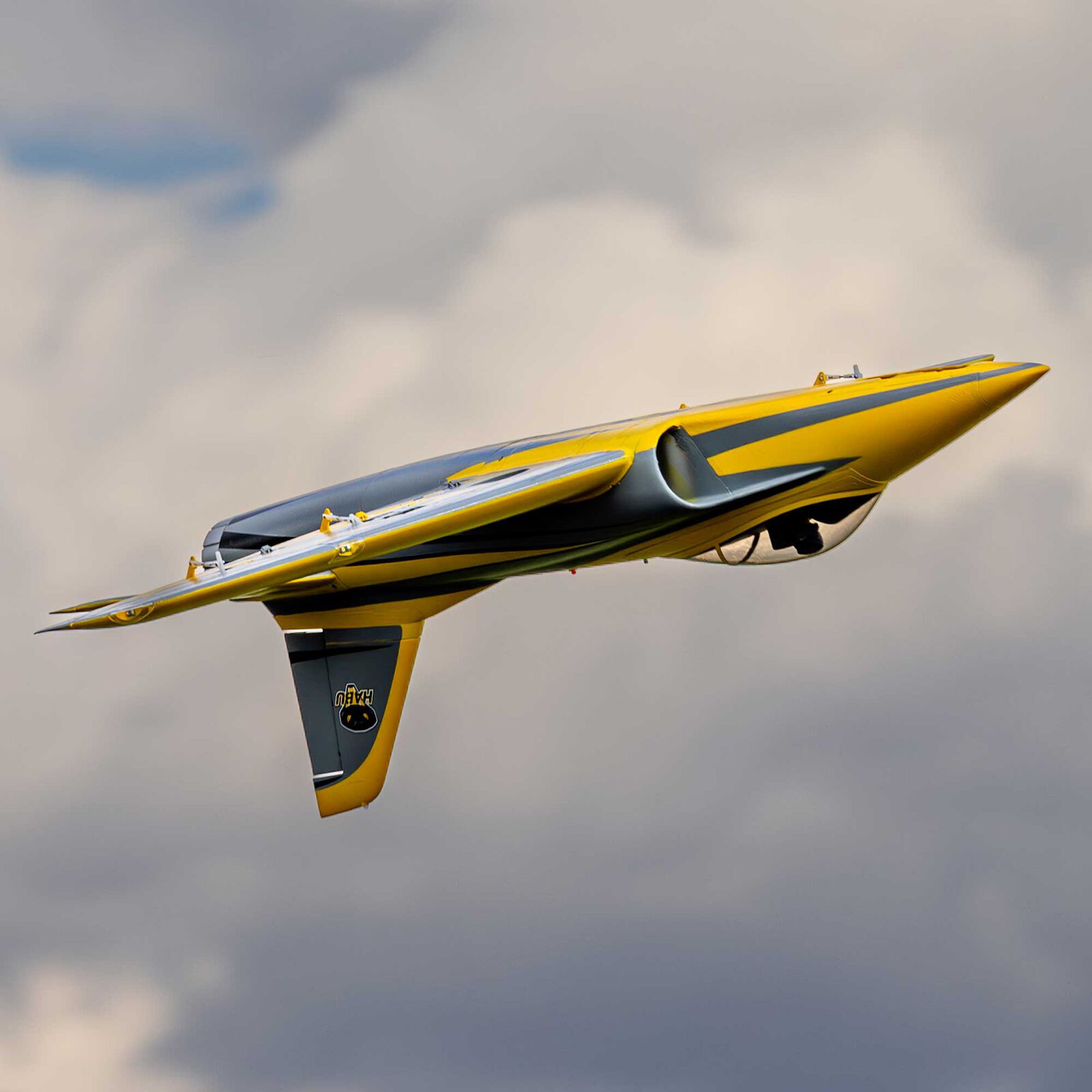 Jet E-Flite Habu XS (eXtra Sport) 80mm EDF BNF Basic with AS3X+ and SAFE - Breizh Modélisme.