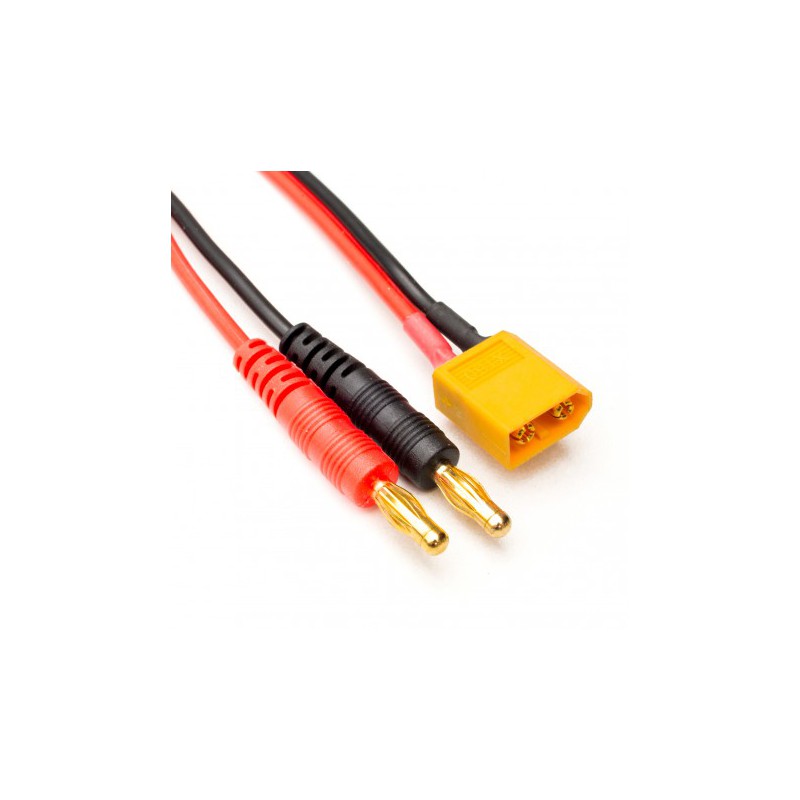 Chargeur Sky RC E450 pour Accu Lipo 2S-4S et Ni-Mh - 100122 - Breizh Modélisme